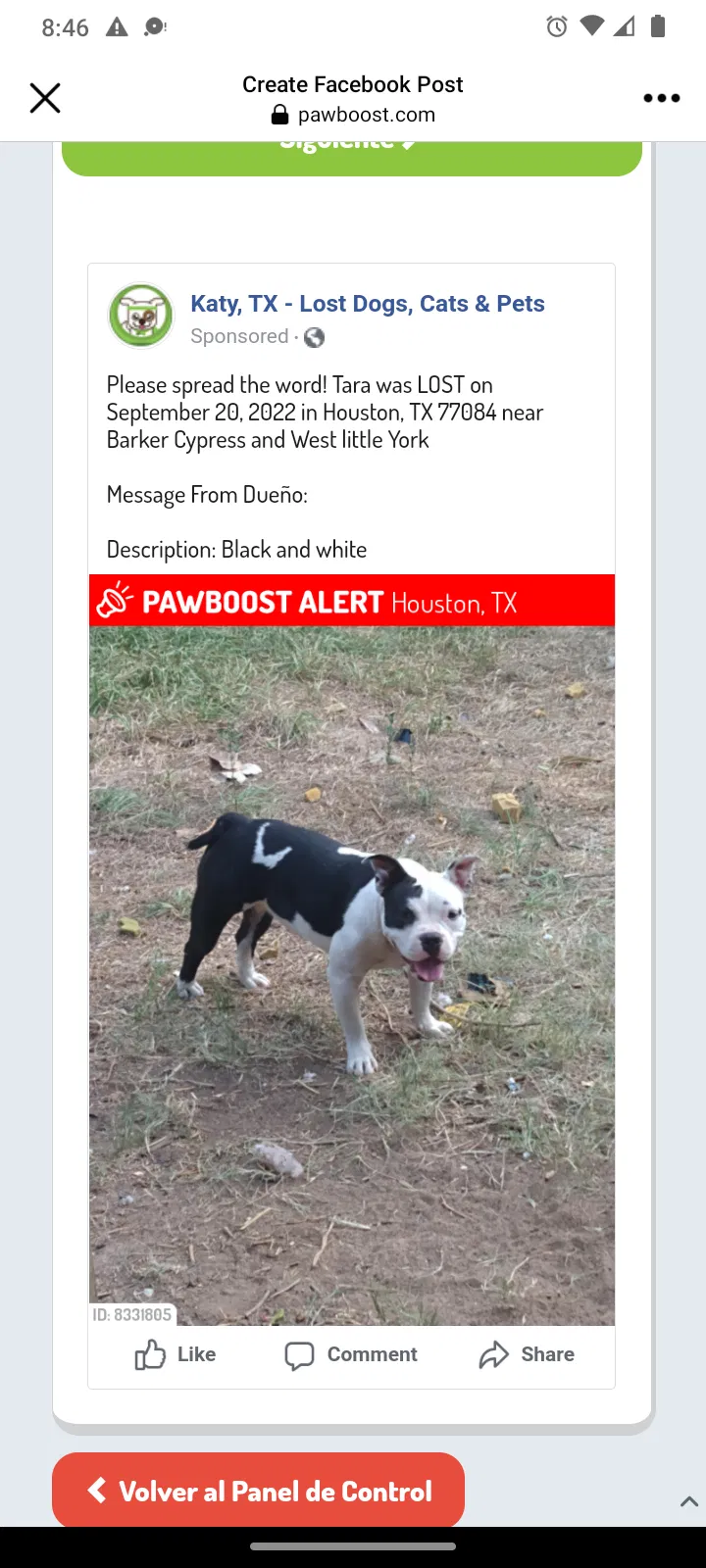 Lost dog in Houston, TX, 77084