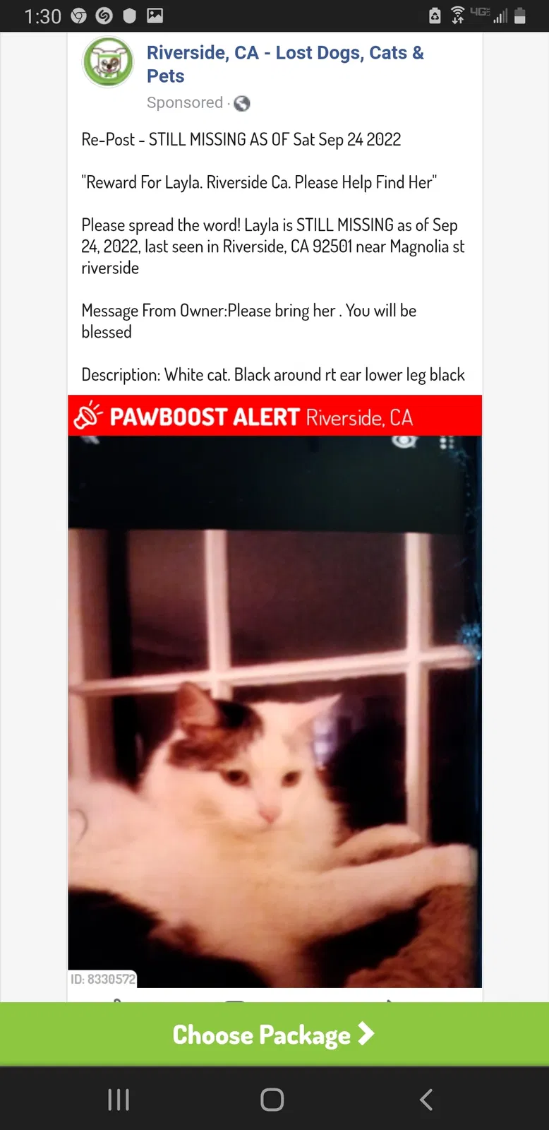 Lost cat in Riverside, CA, 92505