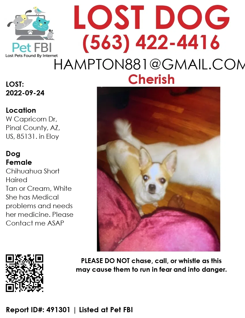 Lost dog in Eloy, AZ, 85131