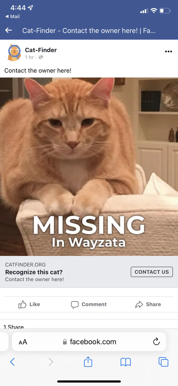 Lost cat in Wayzata, MN, 55391
