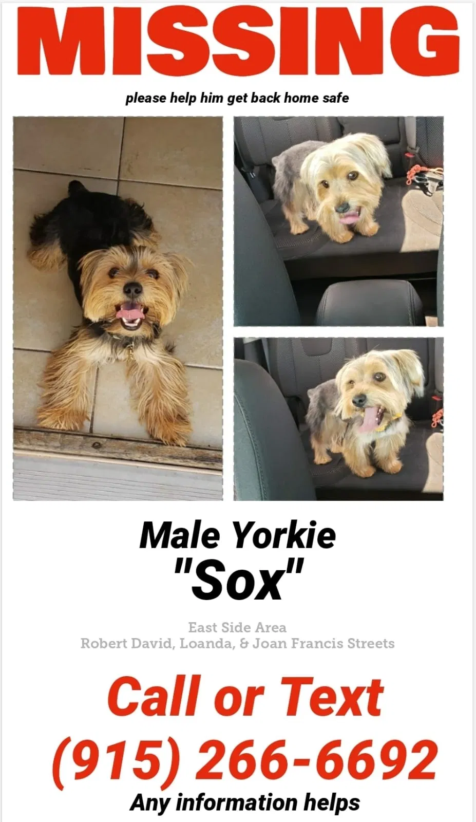 Lost dog in El Paso, TX, 79928