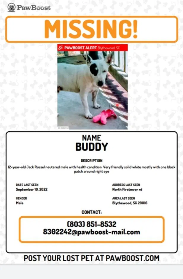 Lost dog in Blythewood, SC, 29016