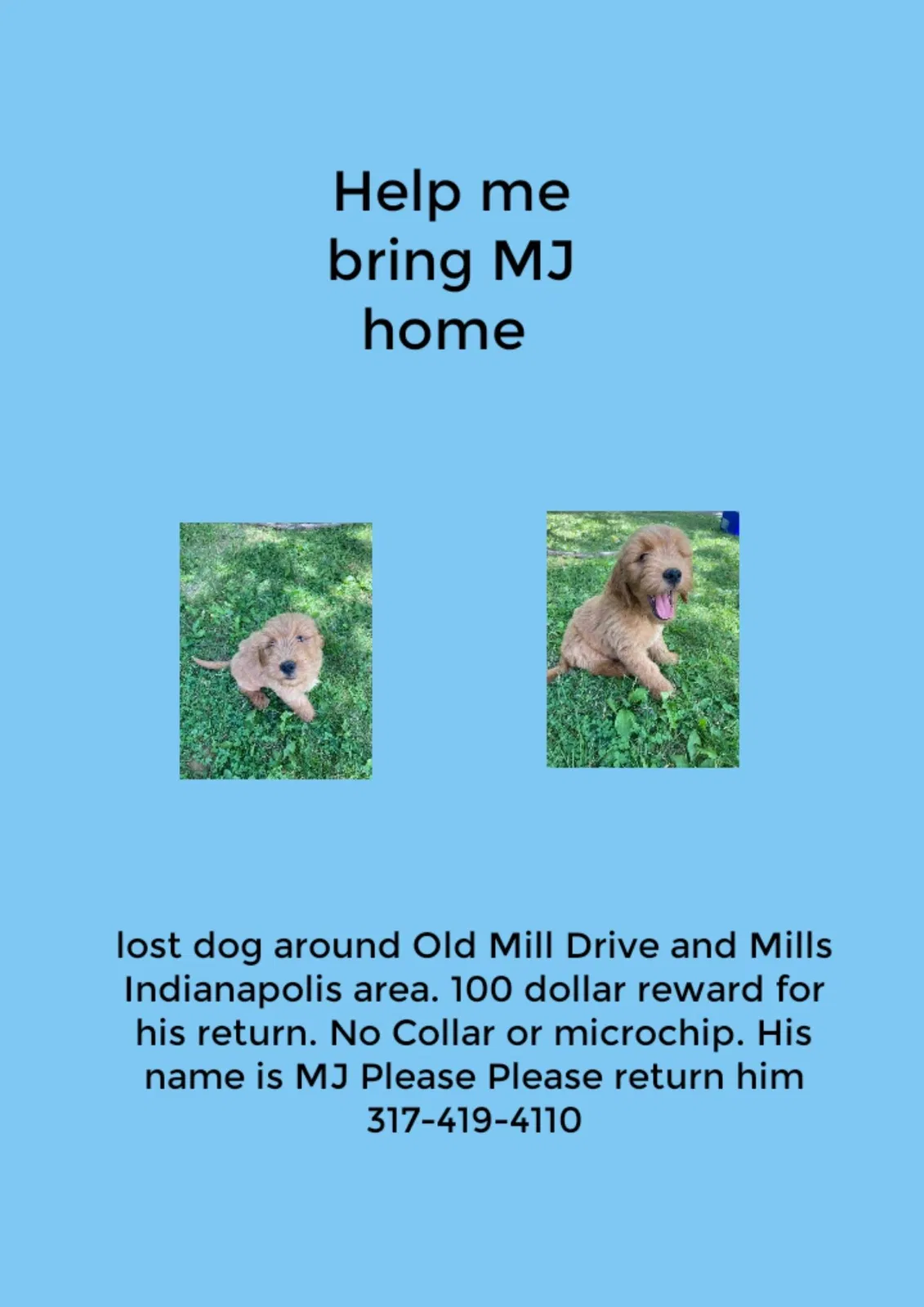Lost dog in Indianapolis, IN, 46221