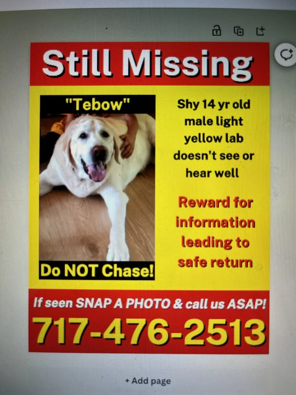 Lost dog in Littlestown, PA, 17340
