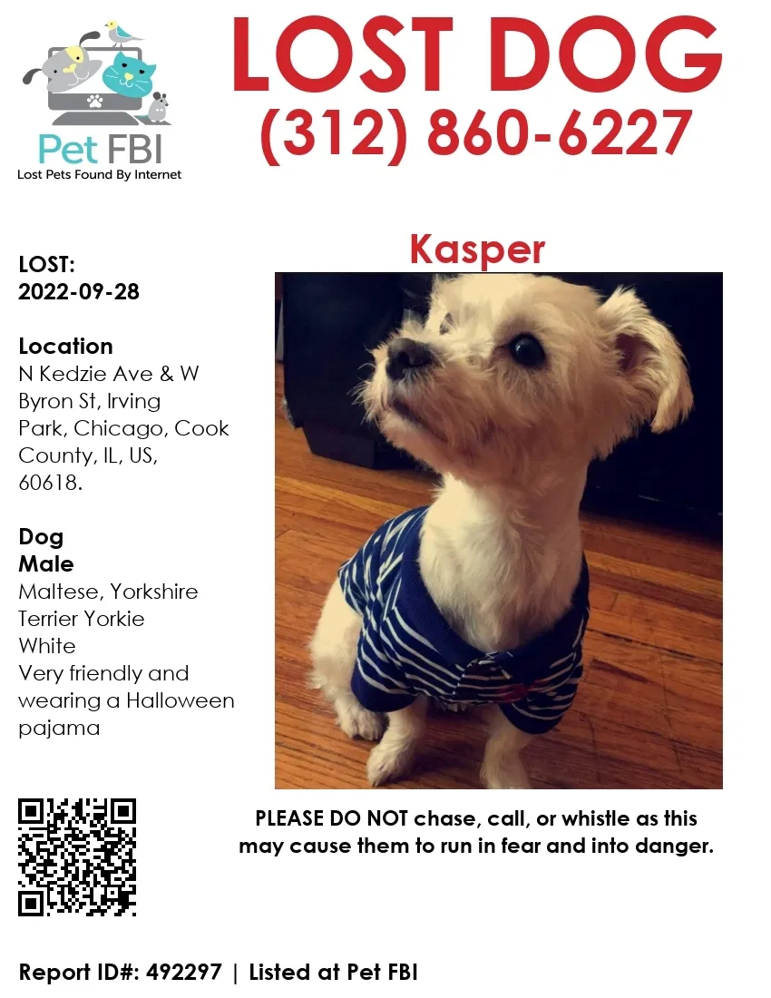 Lost dog in Chicago, IL, 60618