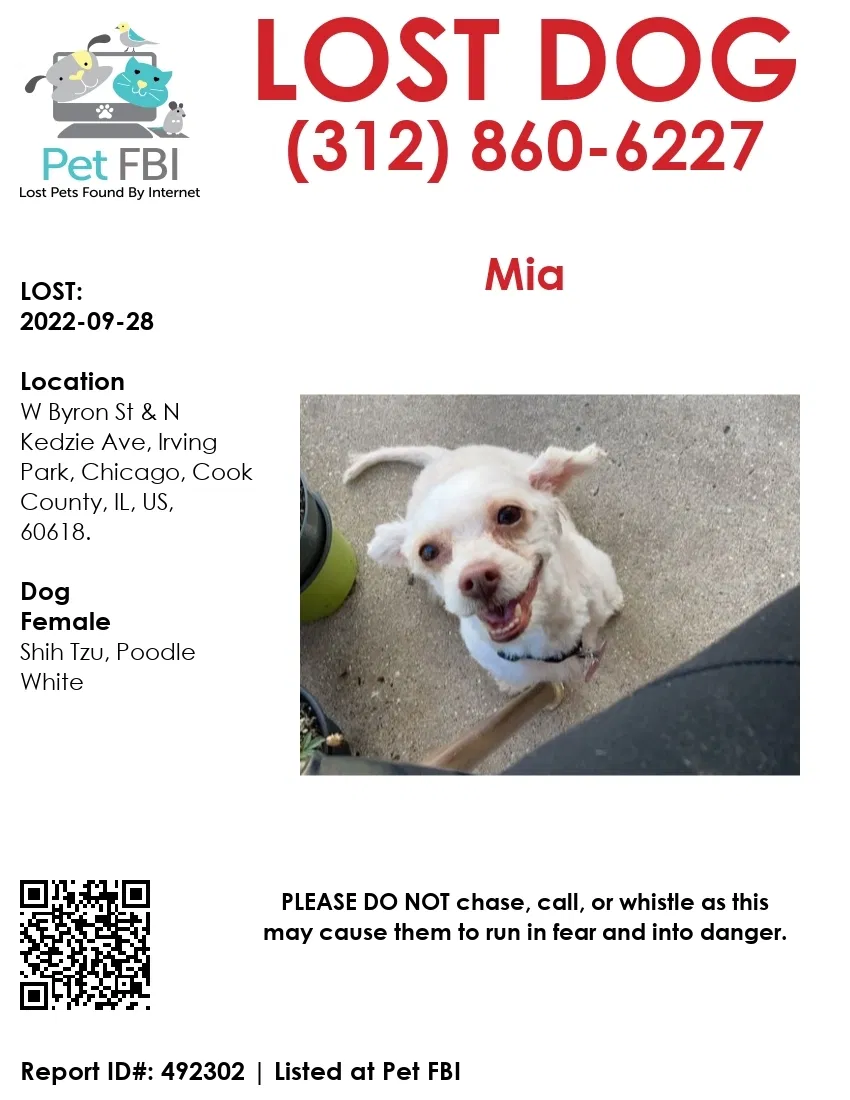 Lost dog in Chicago, IL, 60618