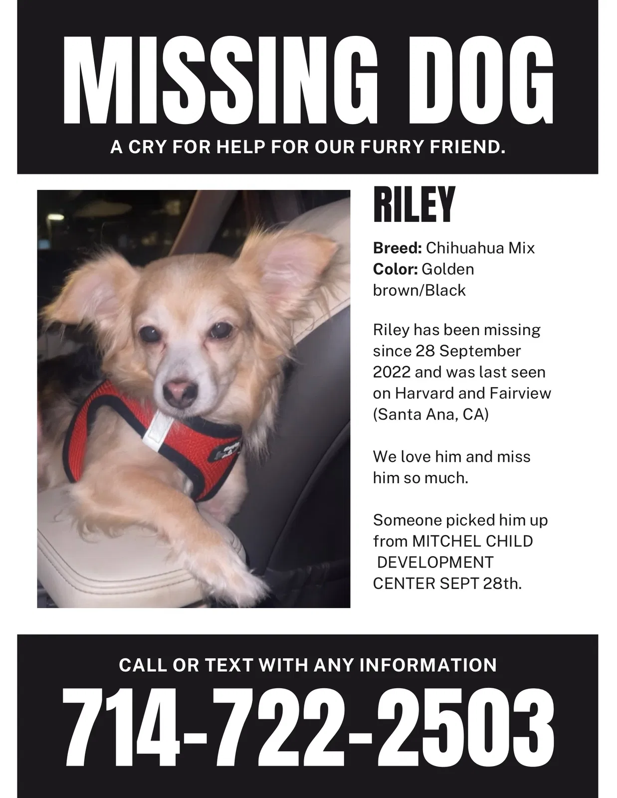 Lost dog in Santa Ana, CA, 92704