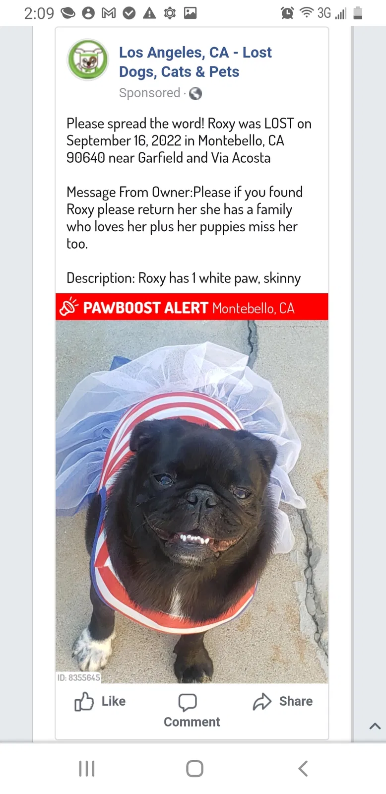 Lost dog in Montebello, CA, 90640