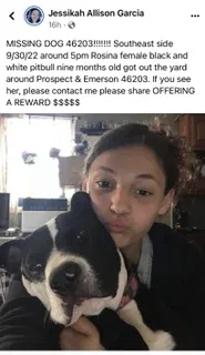 Lost dog in Indianapolis, IN, 46203