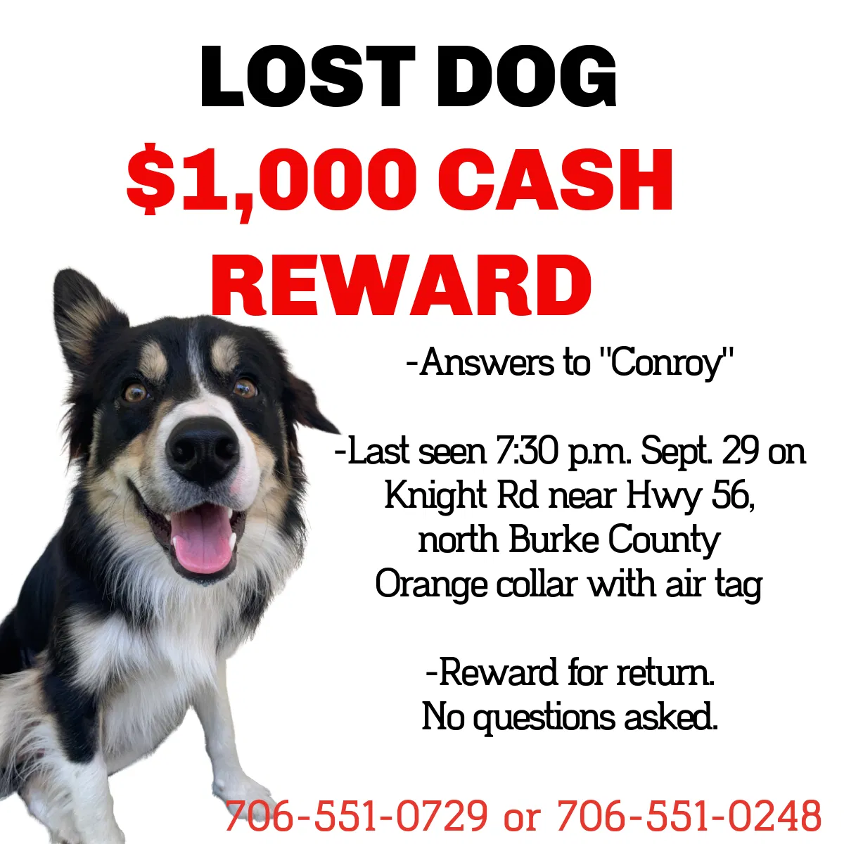 Lost dog in Waynesboro, GA, 30830