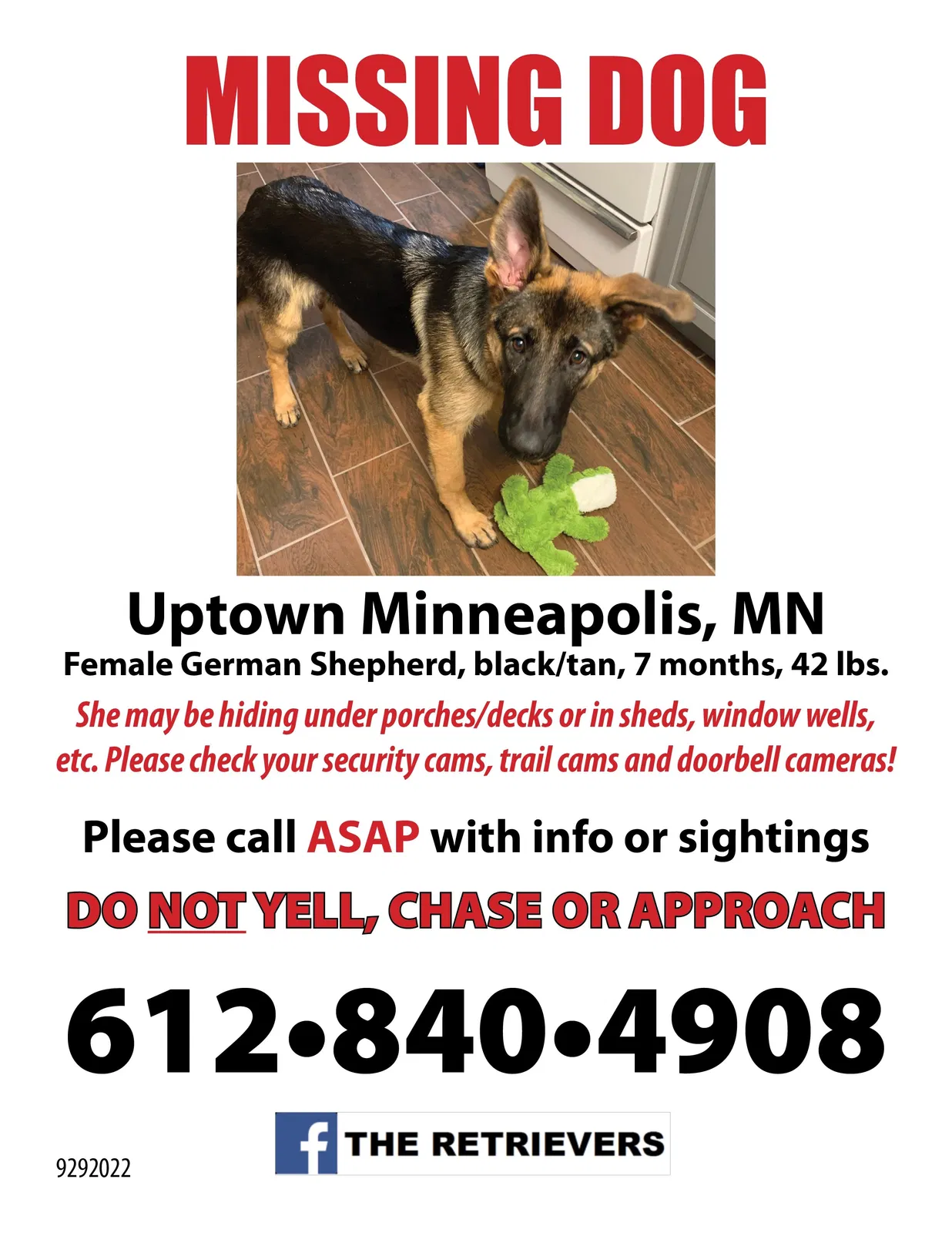 Lost dog in Minneapolis, MN, 55408