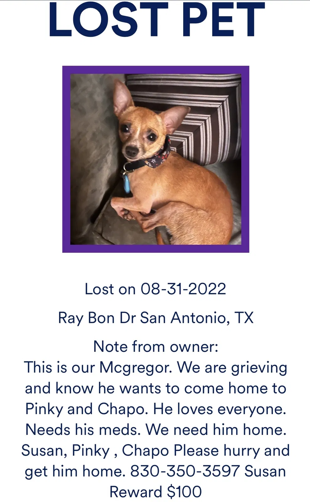 Lost dog in San Antonio, TX, 78218