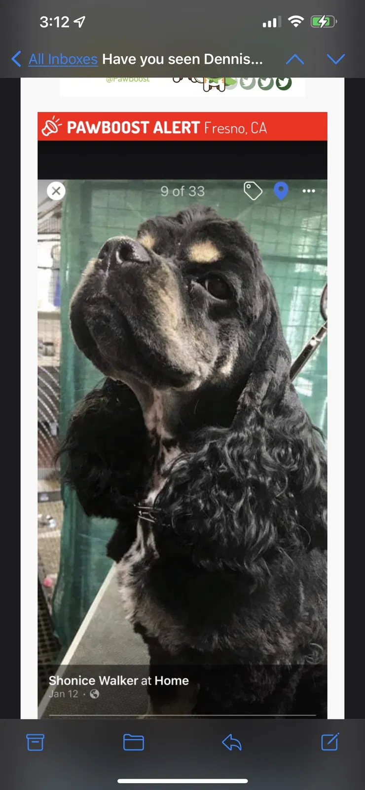 Lost dog in Fresno, CA, 93702