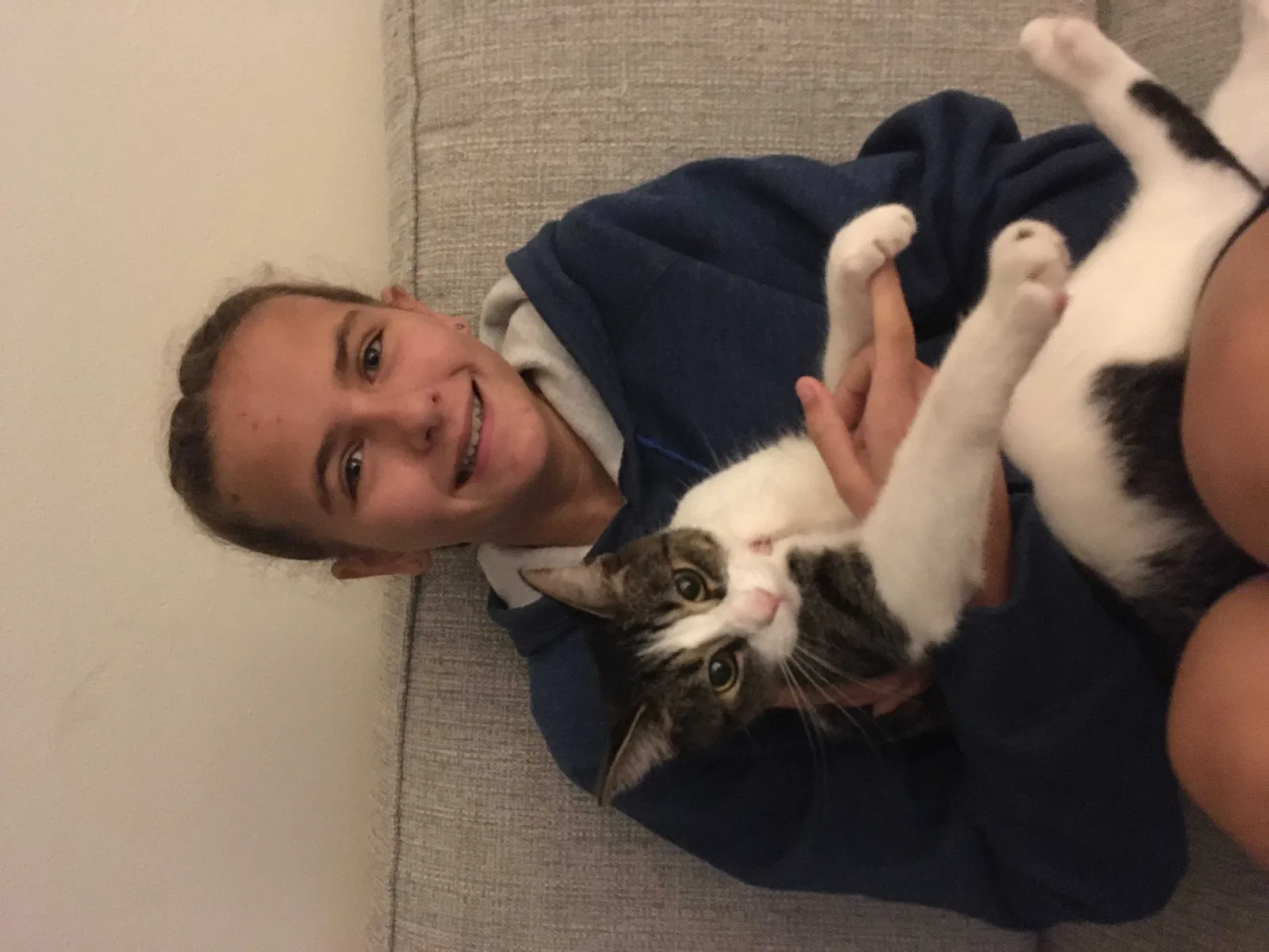 Lost cat in Cranberry Twp, PA, 16066
