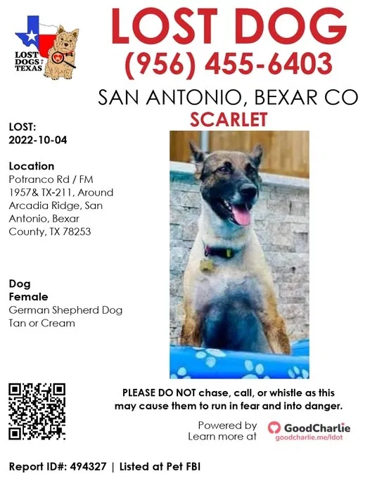 Lost dog in San Antonio, TX, 78245