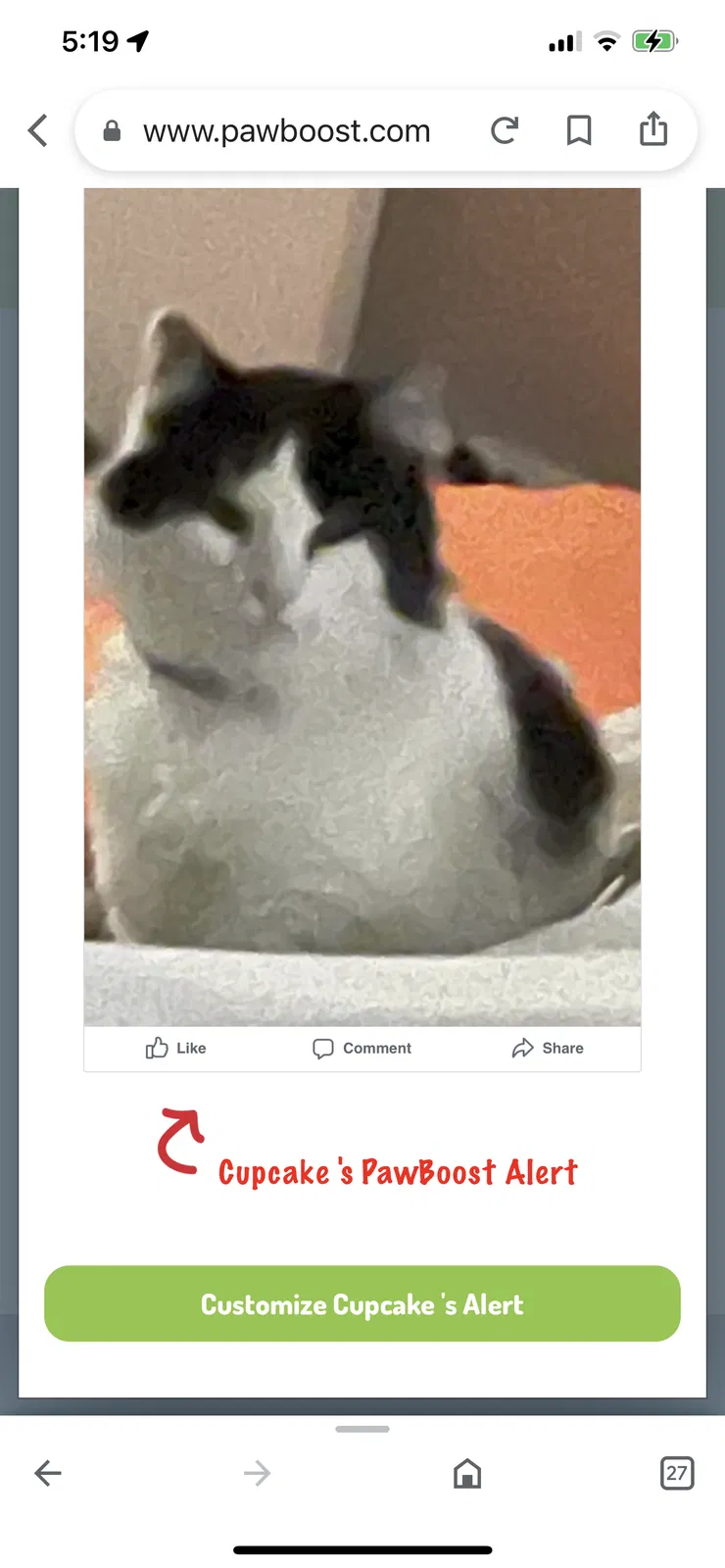 Lost cat in Walkertown, NC, 27051