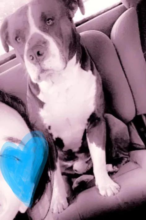 Lost dog in Temple, GA, 30179