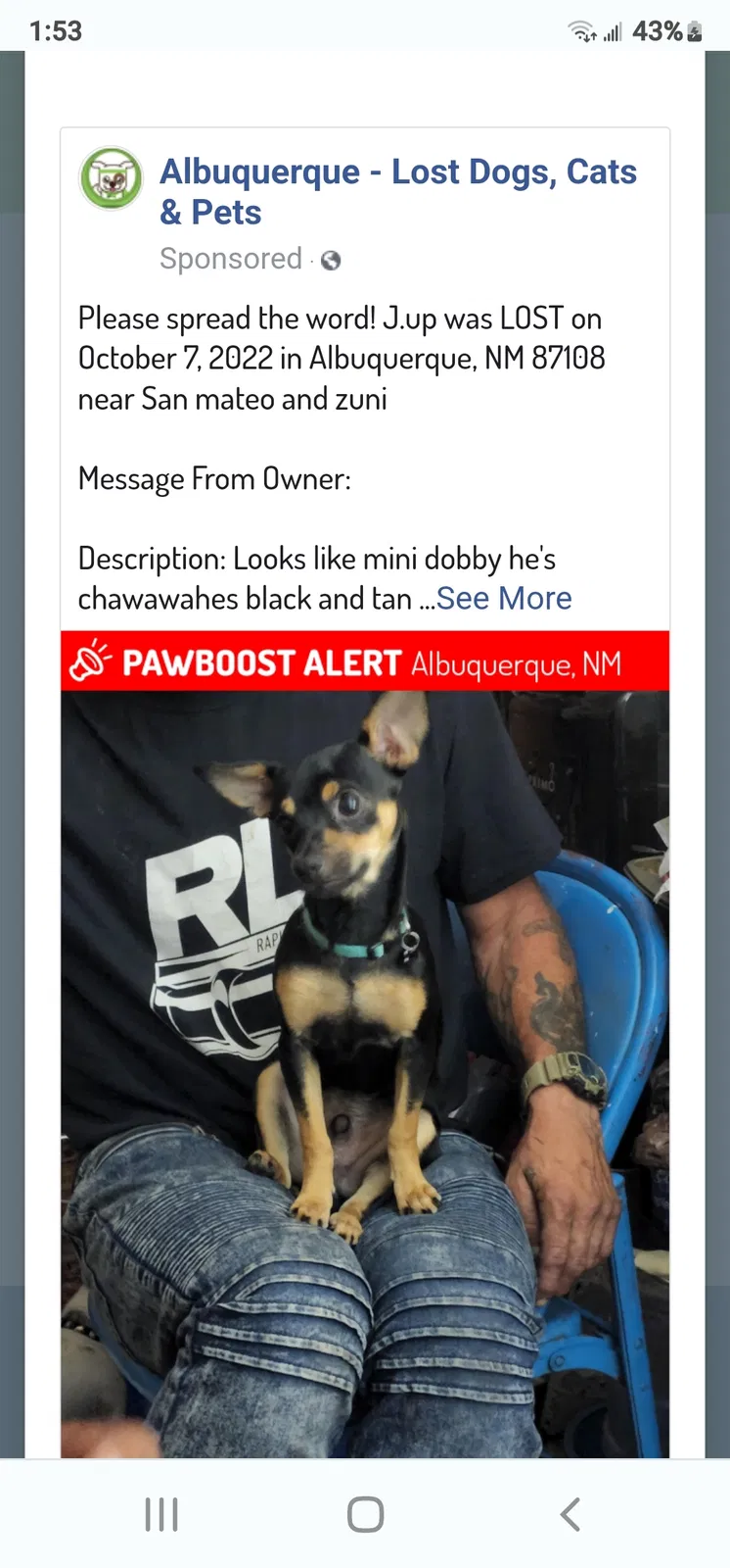 Lost dog in Albuquerque, NM, 87106