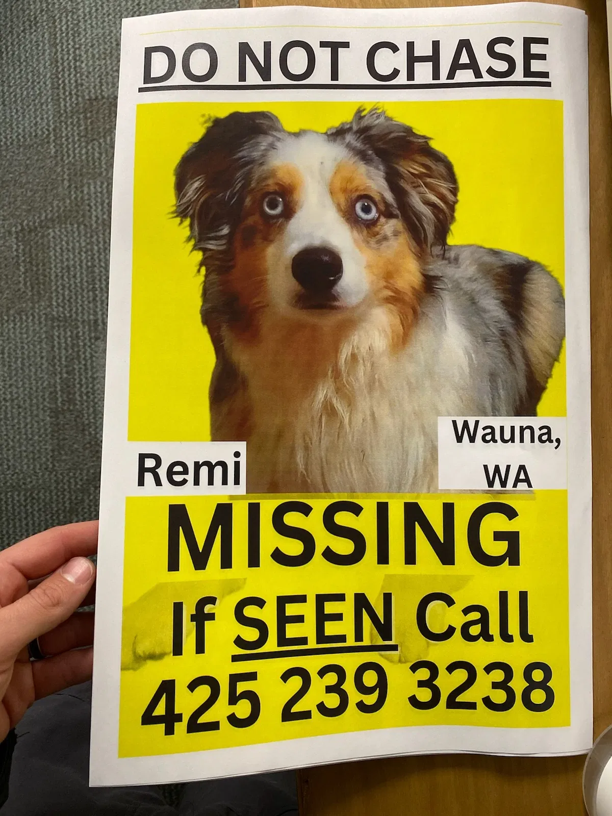 Lost dog in Gig Harbor, WA, 98329