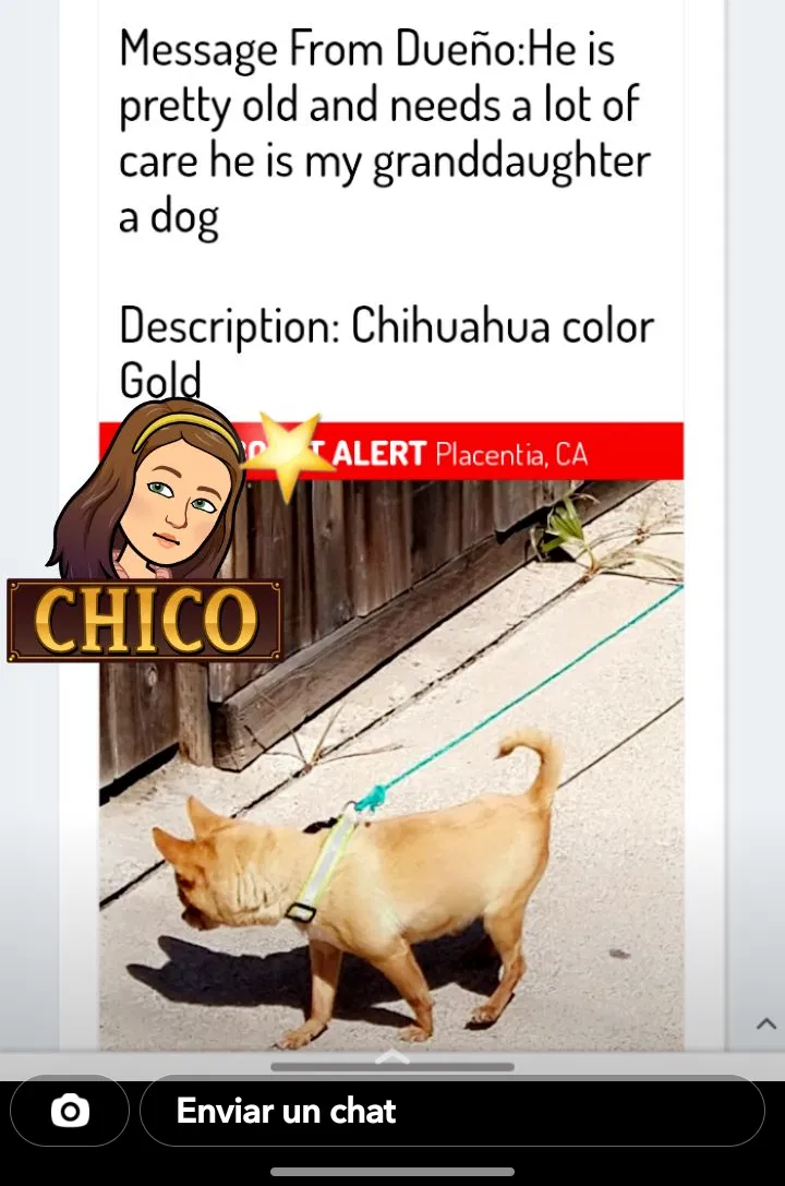Lost dog in Placentia, CA, 92870