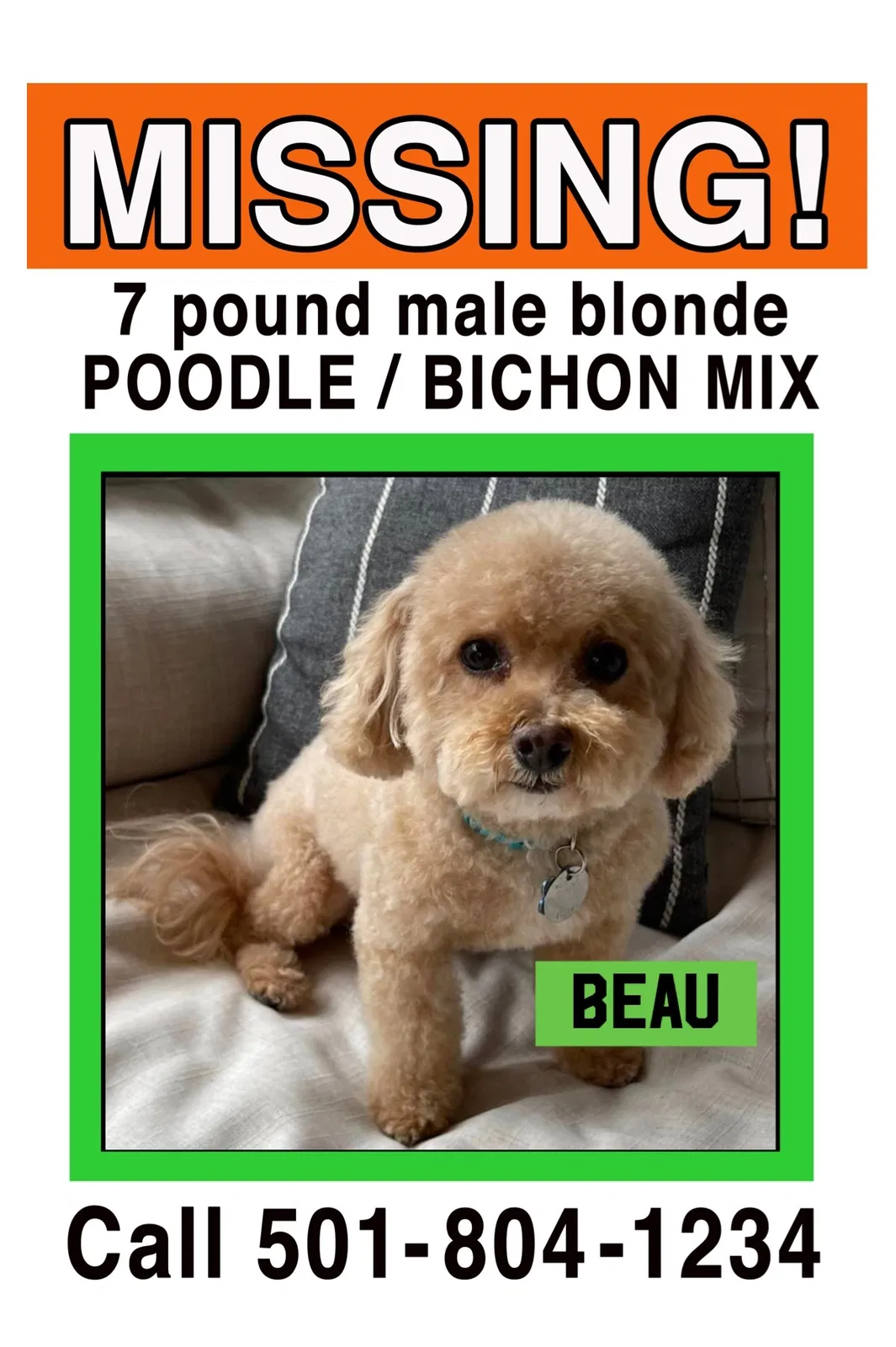 Lost dog in Little Rock, AR, 72223