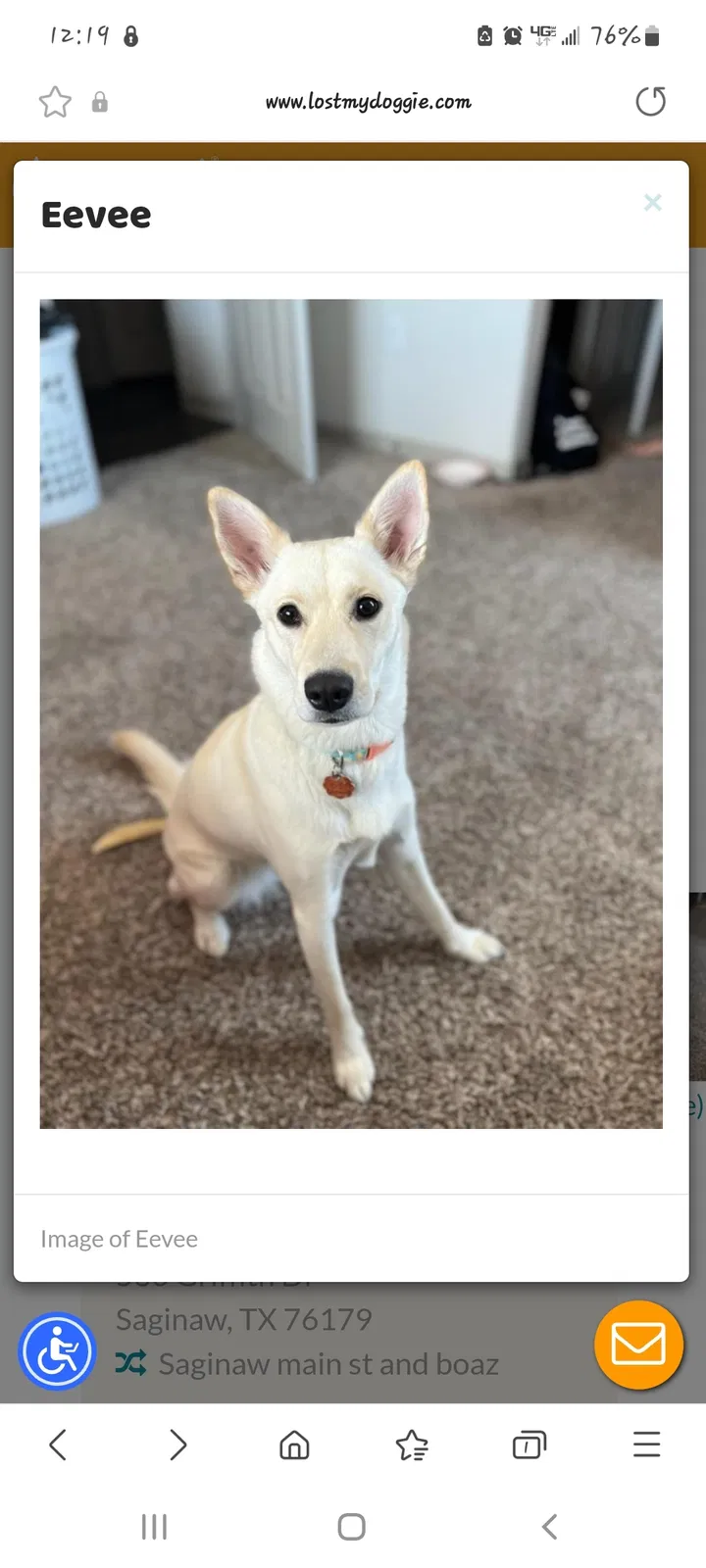 Lost dog in Fort Worth, TX, 76179
