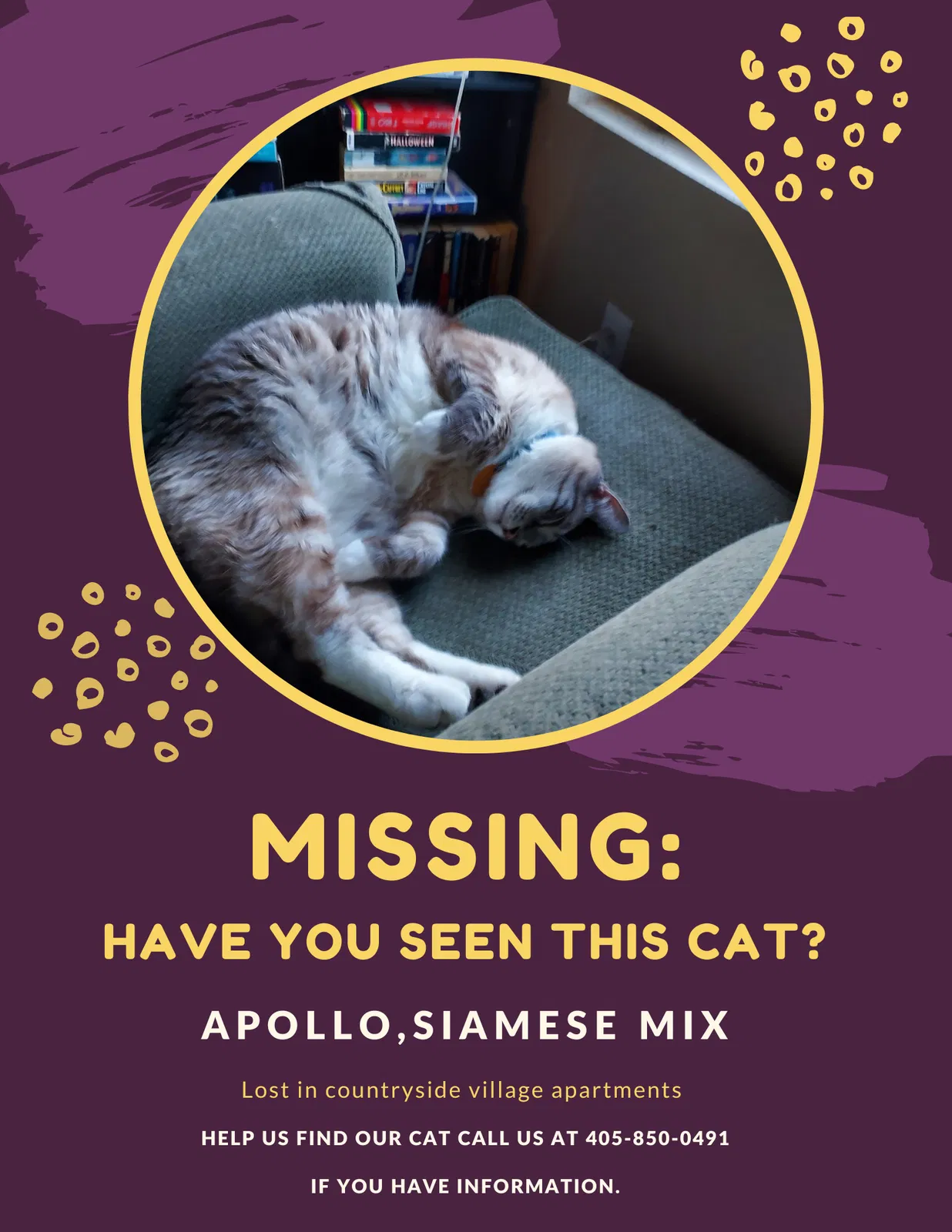 Lost cat in Oklahoma City, OK, 73160