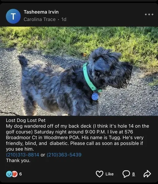 Lost dog in Sanford, NC, 27332