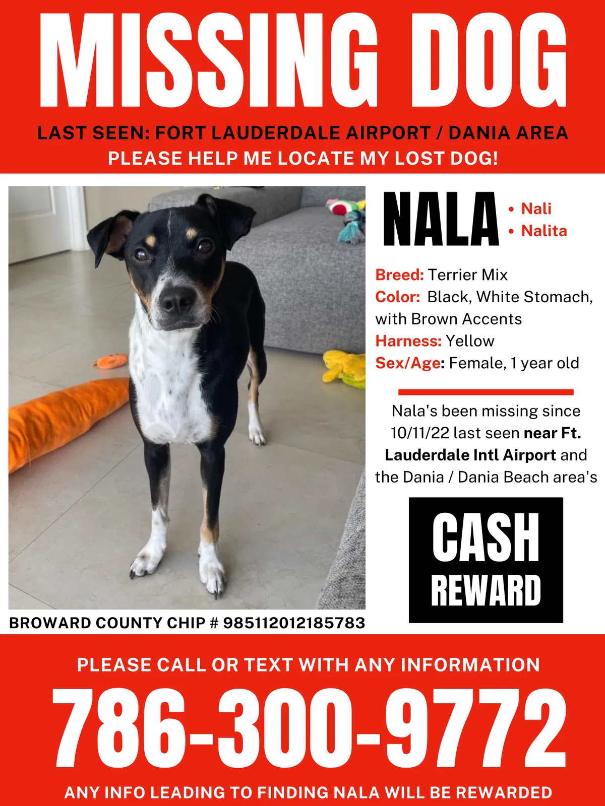 Lost dog in Fort Lauderdale, FL, 33315