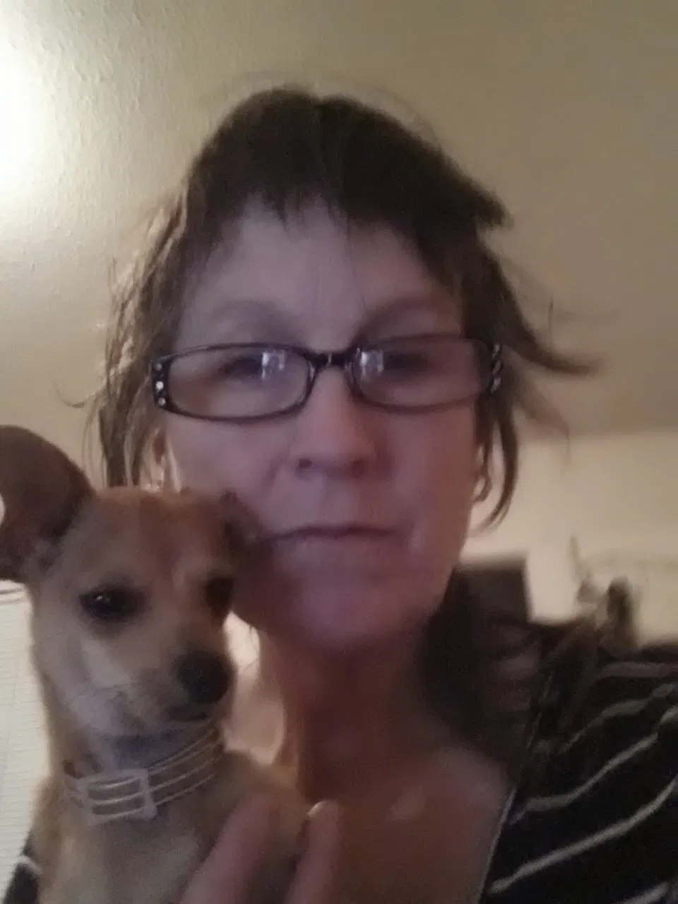Lost dog in Alvarado, TX, 76009