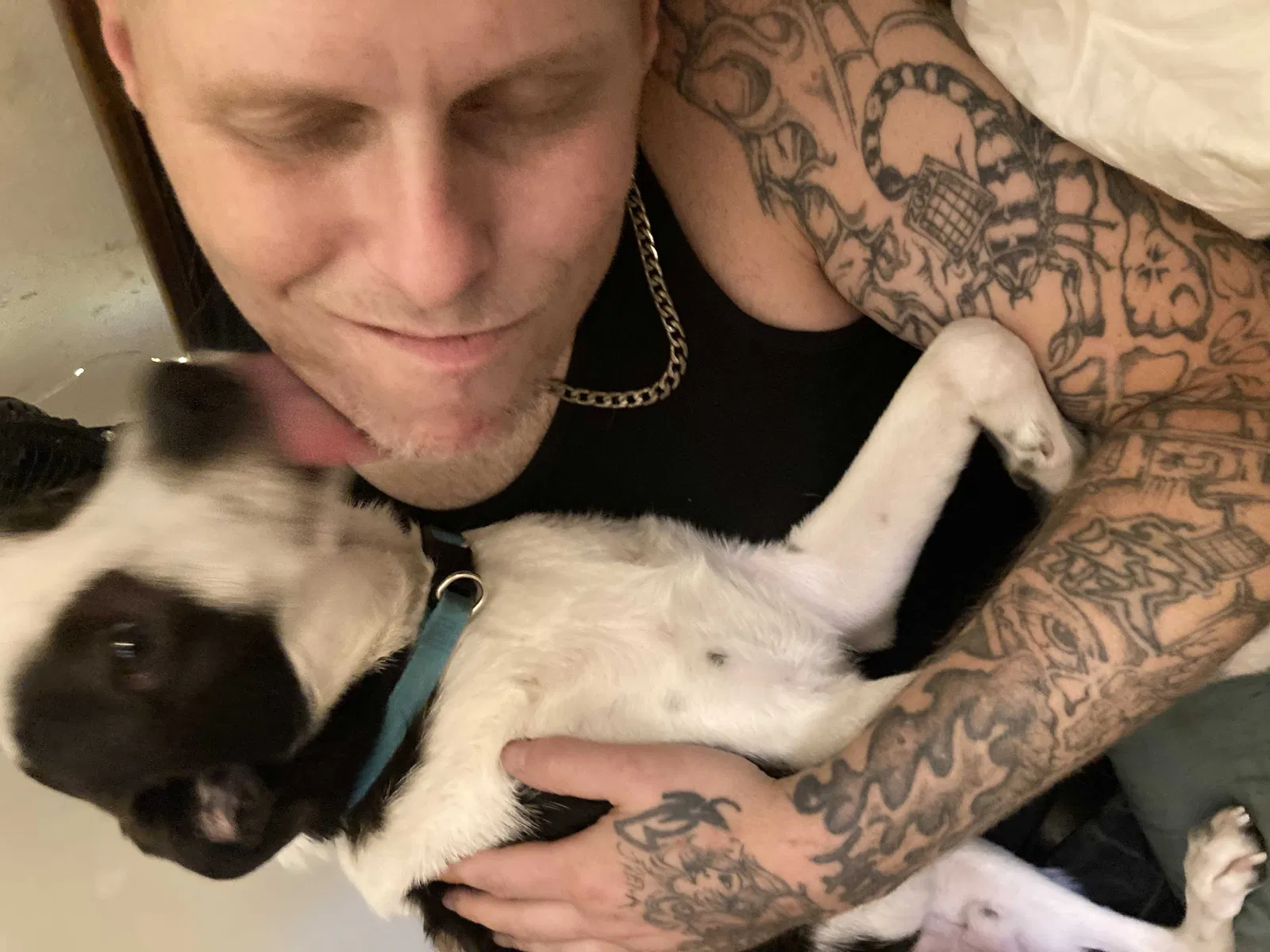 Lost dog in Chattanooga, TN, 37421