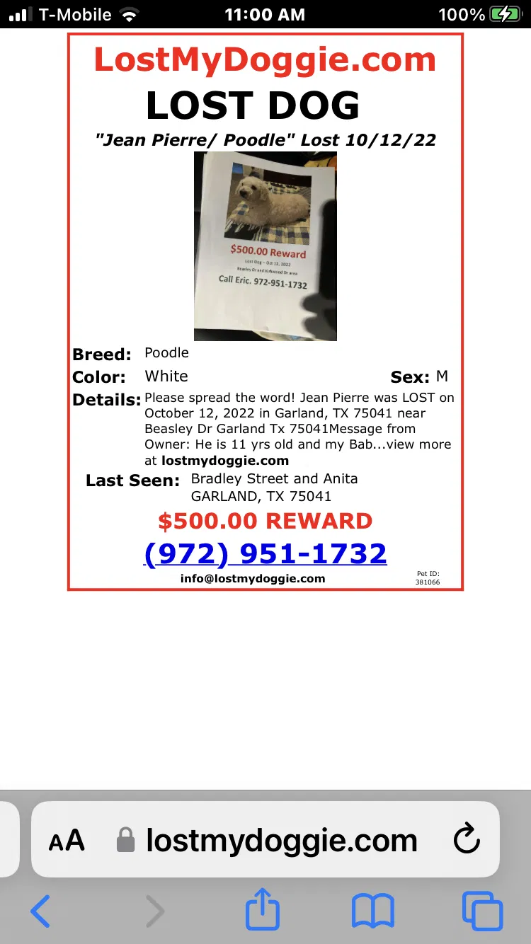 Lost dog in Garland, TX, 75041