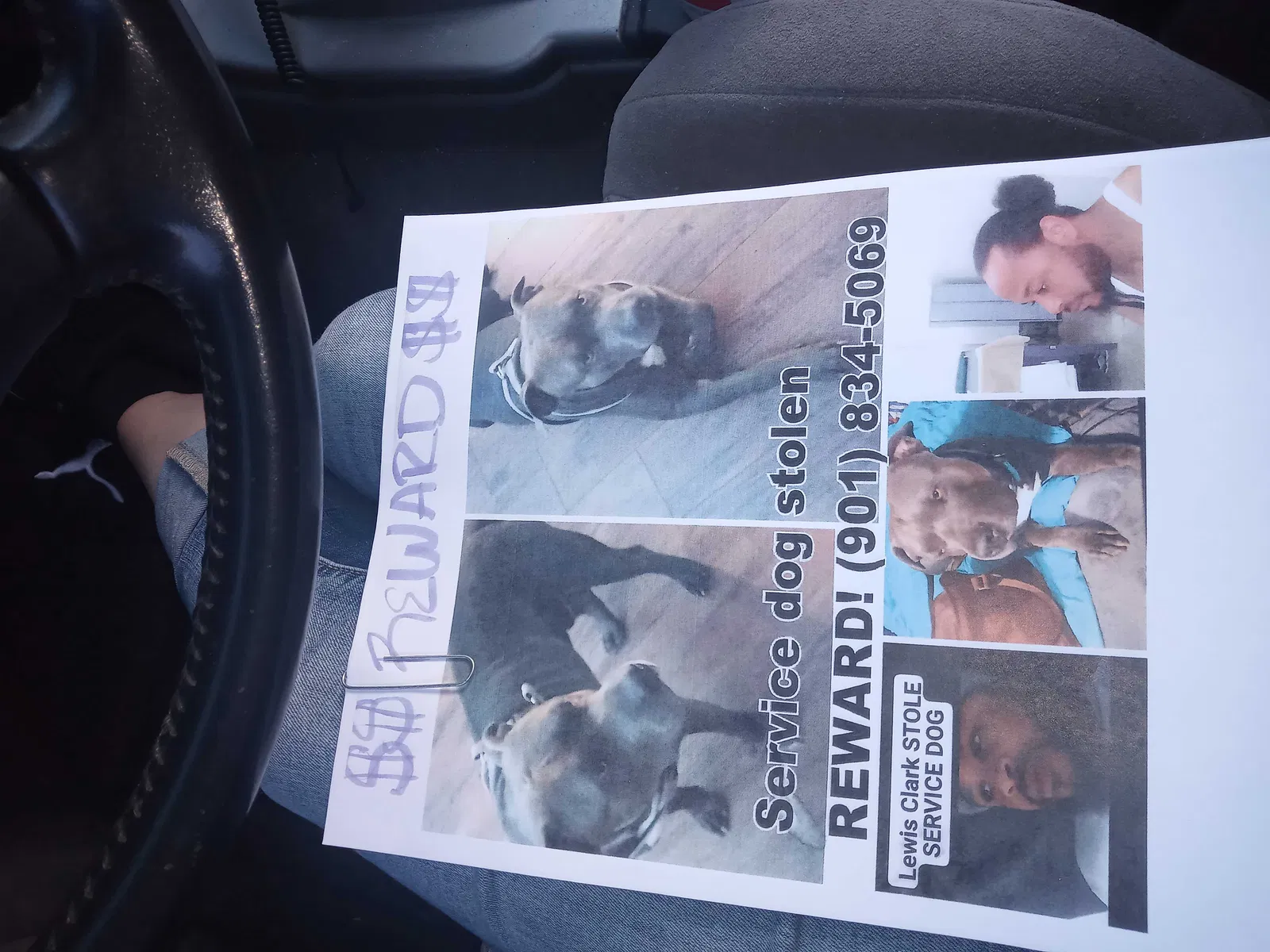 Lost dog in Tulsa, OK, 74106