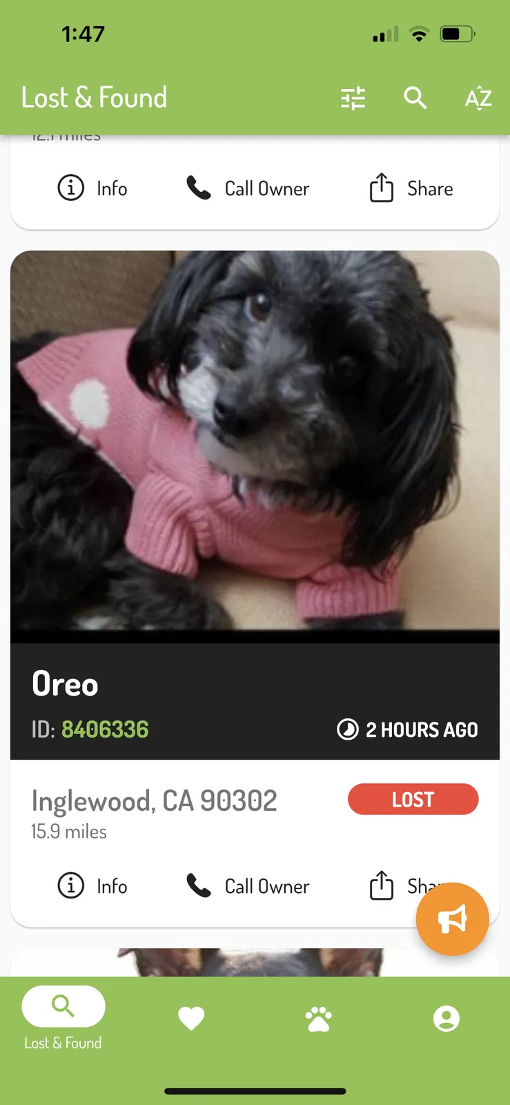 Lost dog in Inglewood, CA, 90302