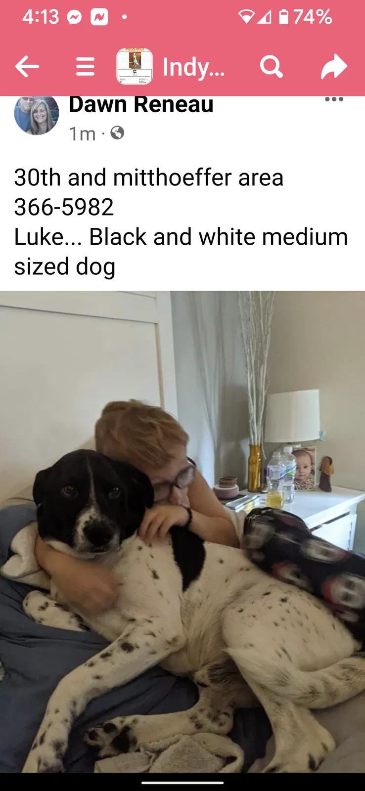 Lost dog in Indianapolis, IN, 46235