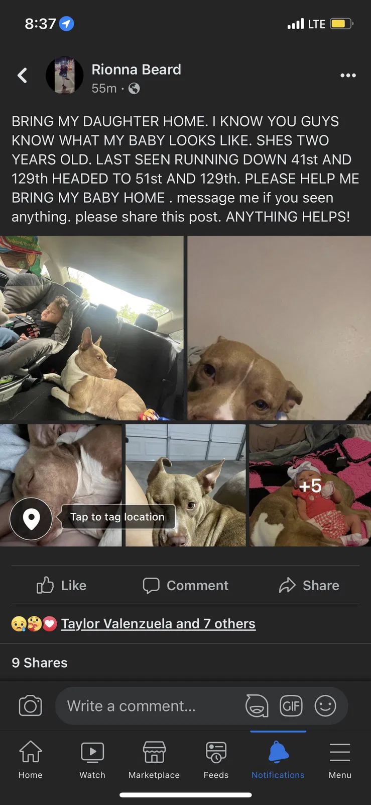Lost dog in Tulsa, OK, 74134