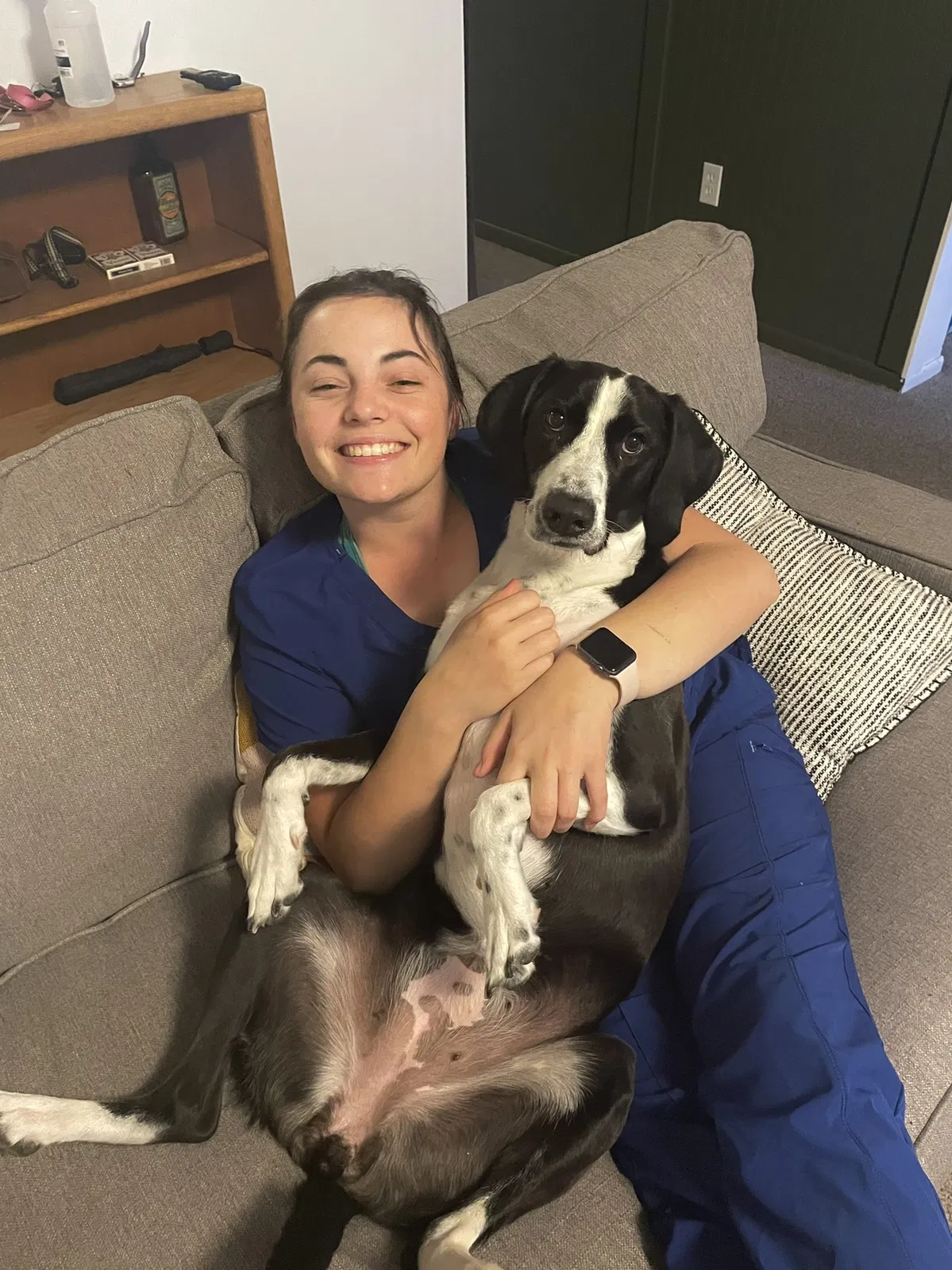 Lost dog in Minneapolis, MN, 55406