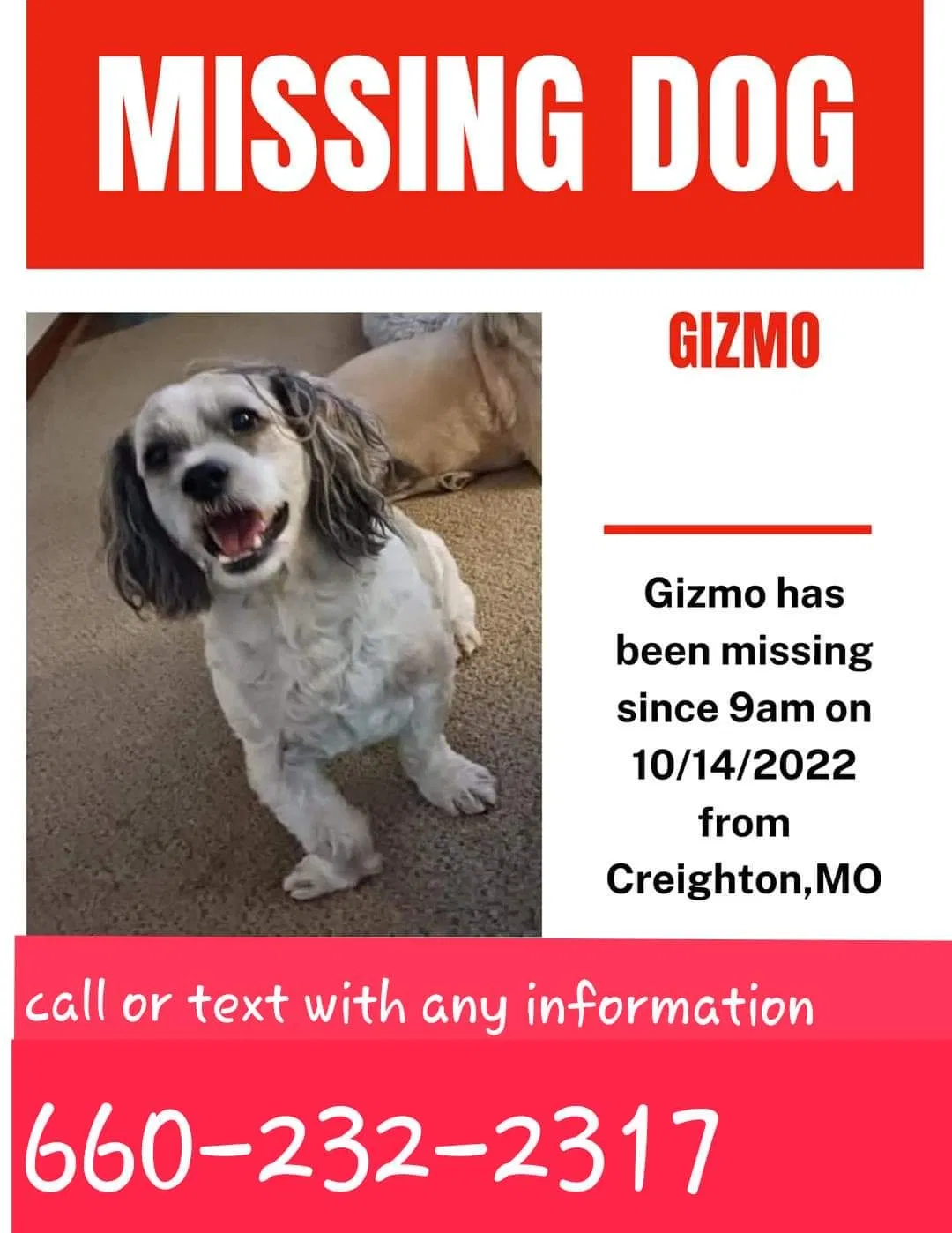 Lost dog in Creighton, MO, 64739