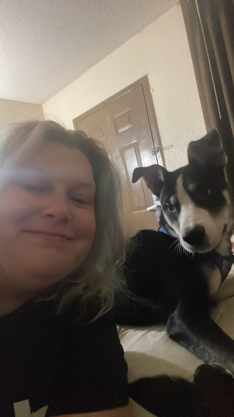 Lost dog in Marietta, GA, 30060