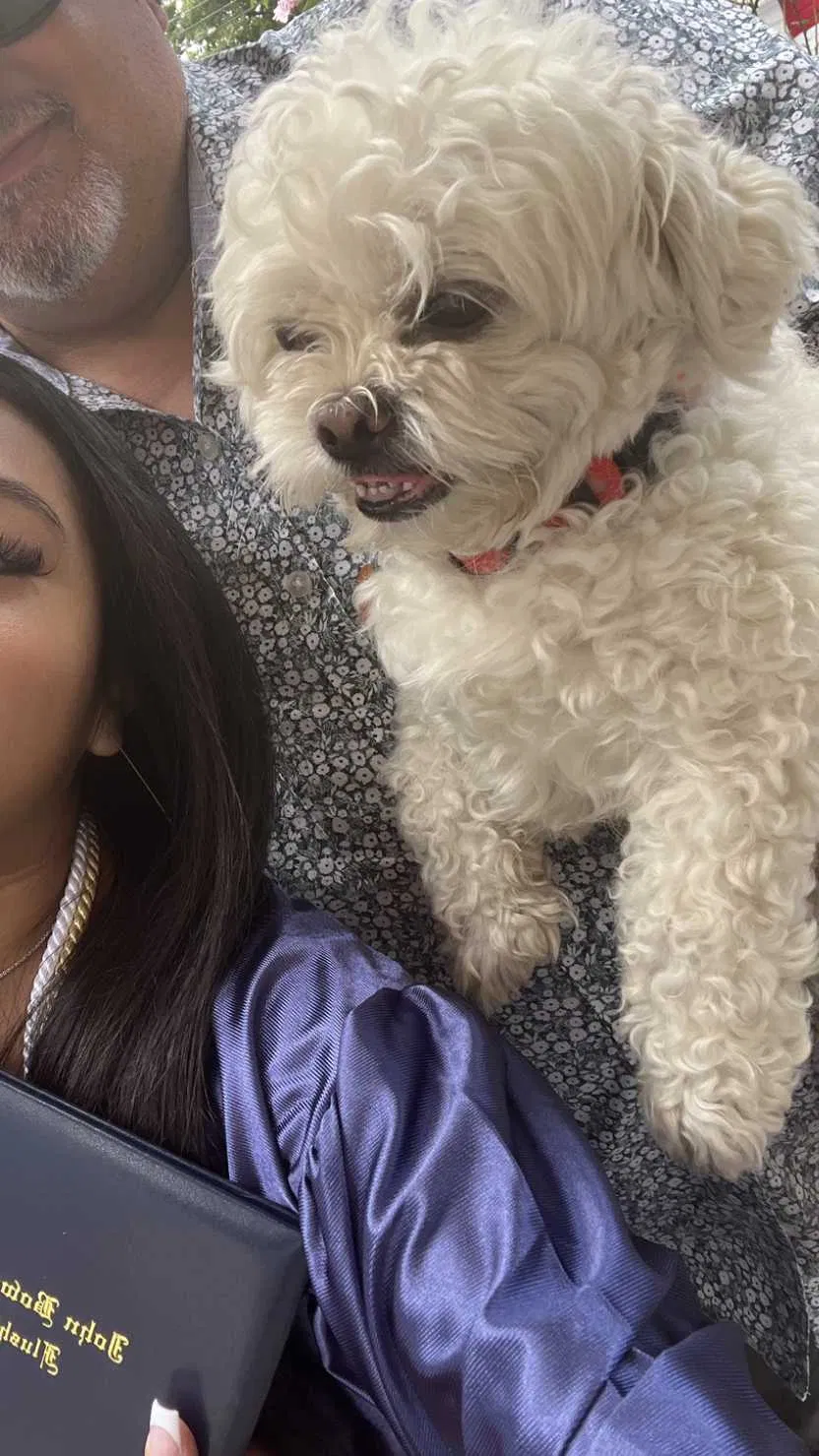 Lost dog in Corona, NY, 11368