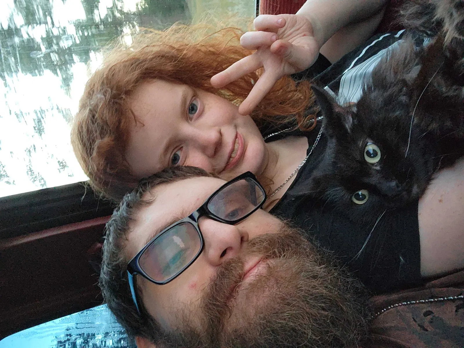 Lost cat in Faribault, MN, 55021