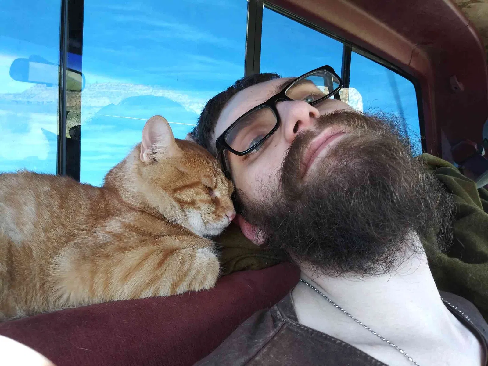 Lost cat in Faribault, MN, 55021