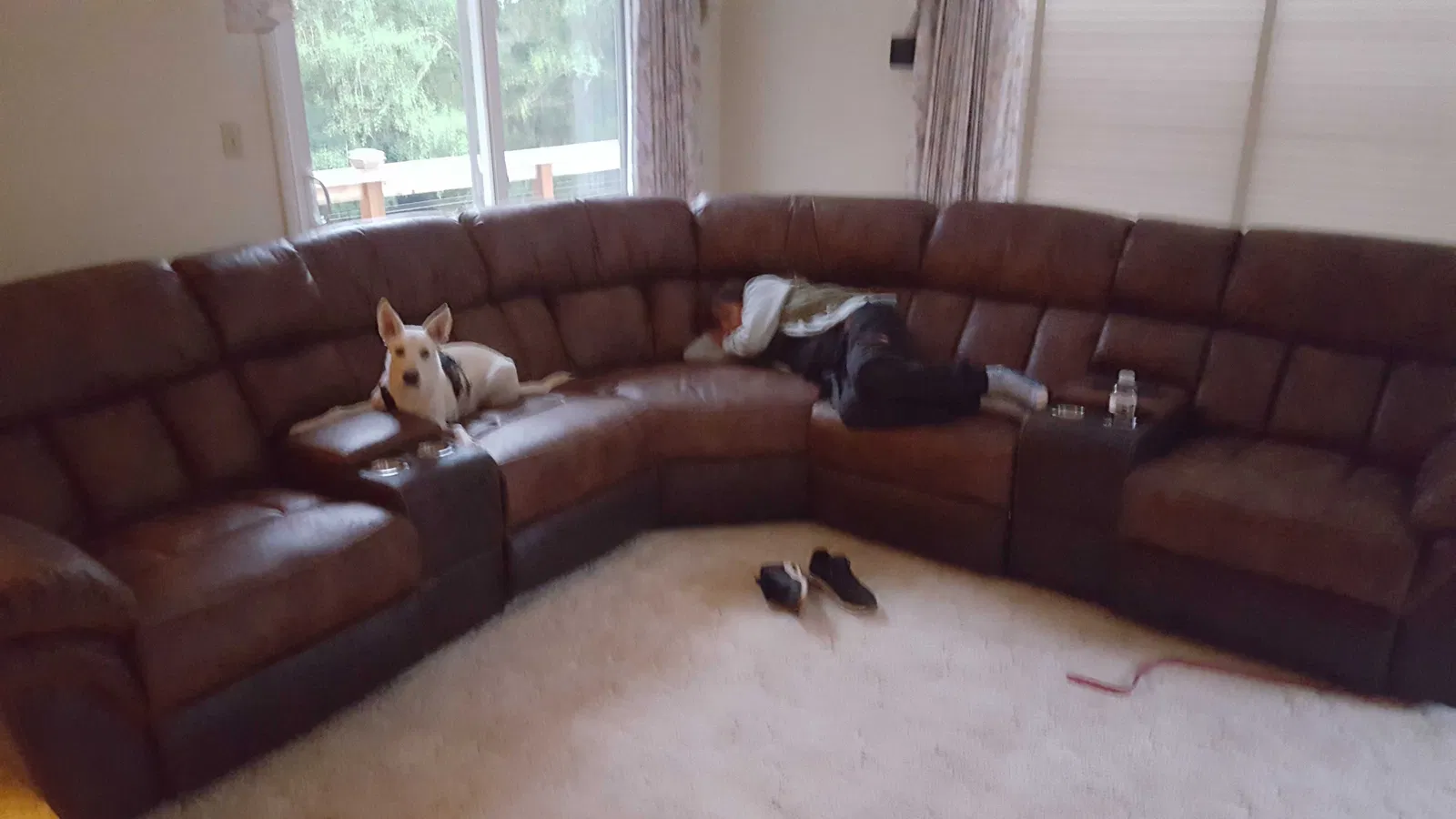 Lost dog in Longview, WA, 98632