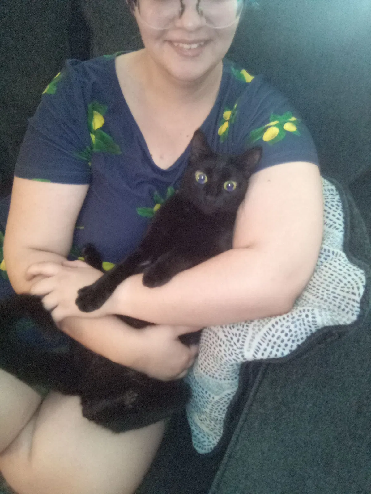 Lost cat in Lawrence, KS, 66047