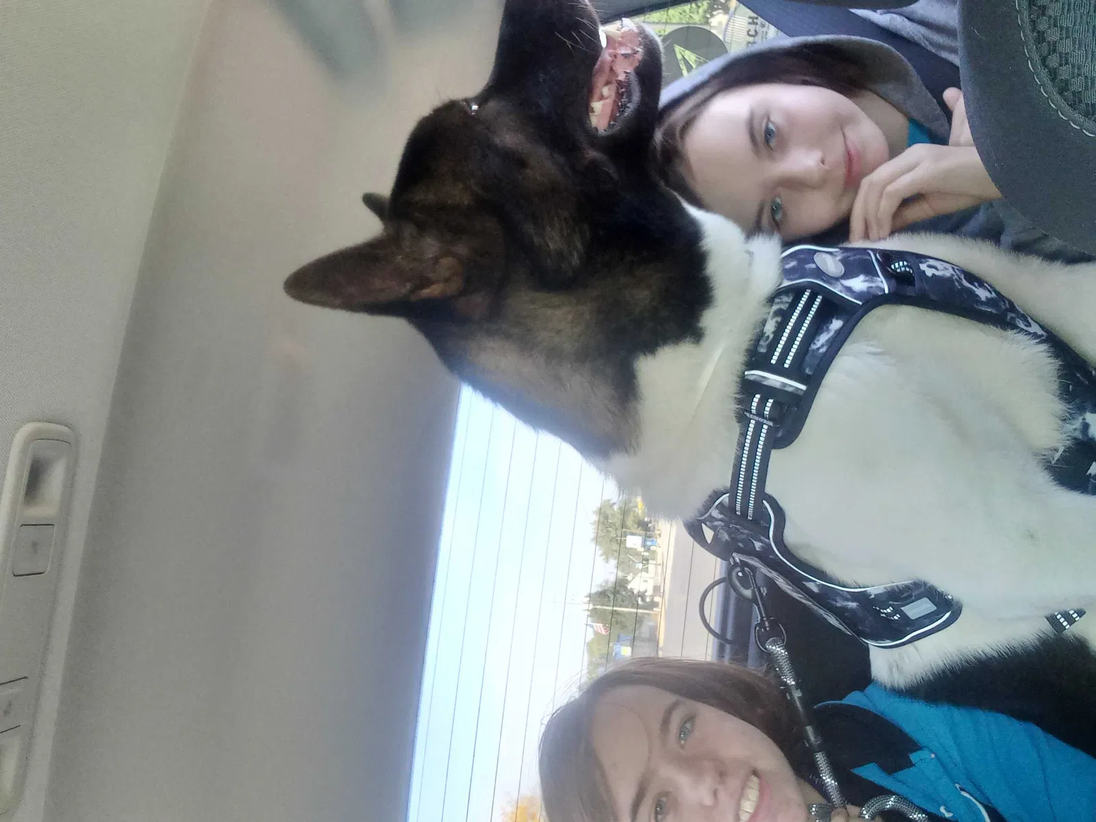Lost dog in Grand Rapids, MI, 49548