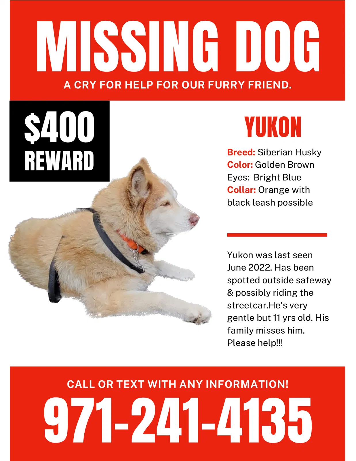 Lost dog in Portland, OR, 97205