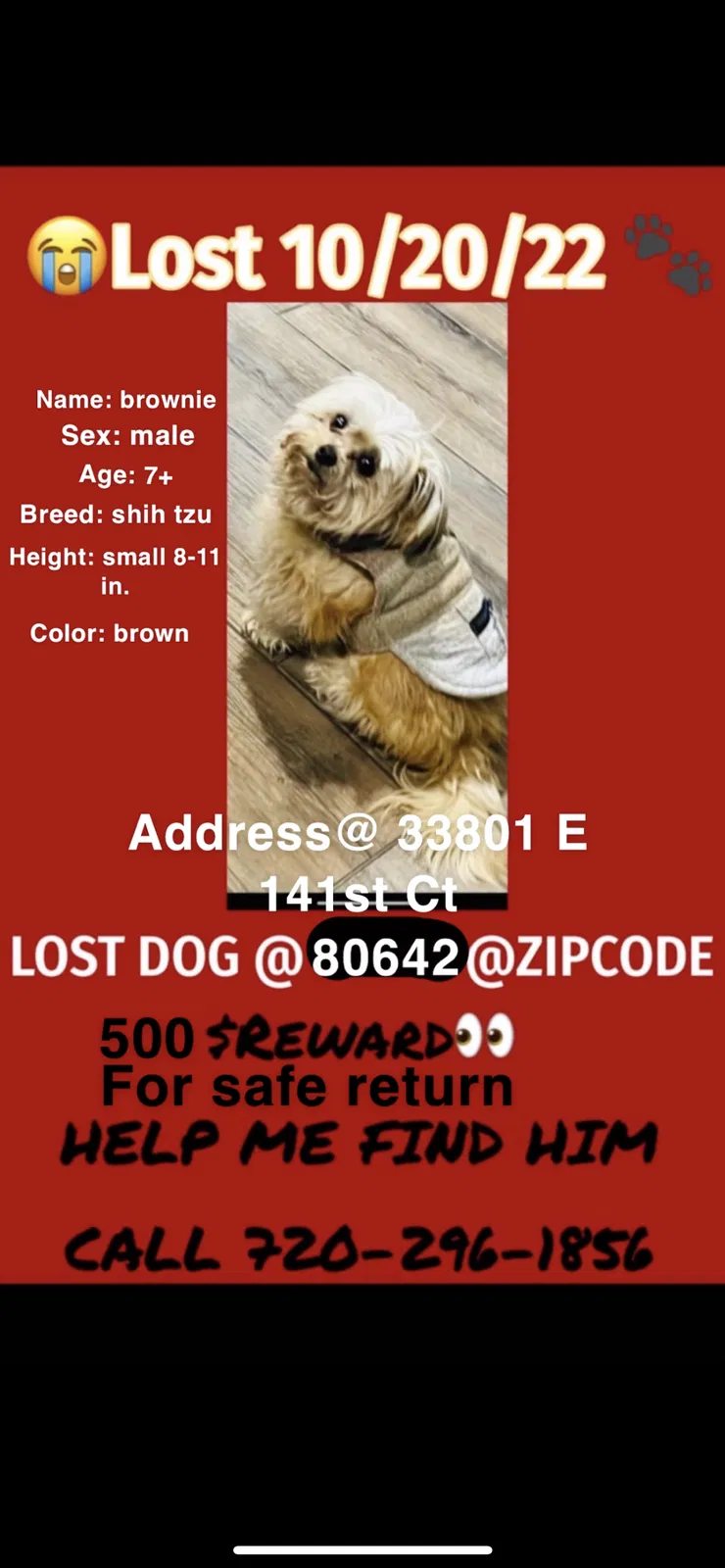 Lost dog in Hudson, CO, 80642