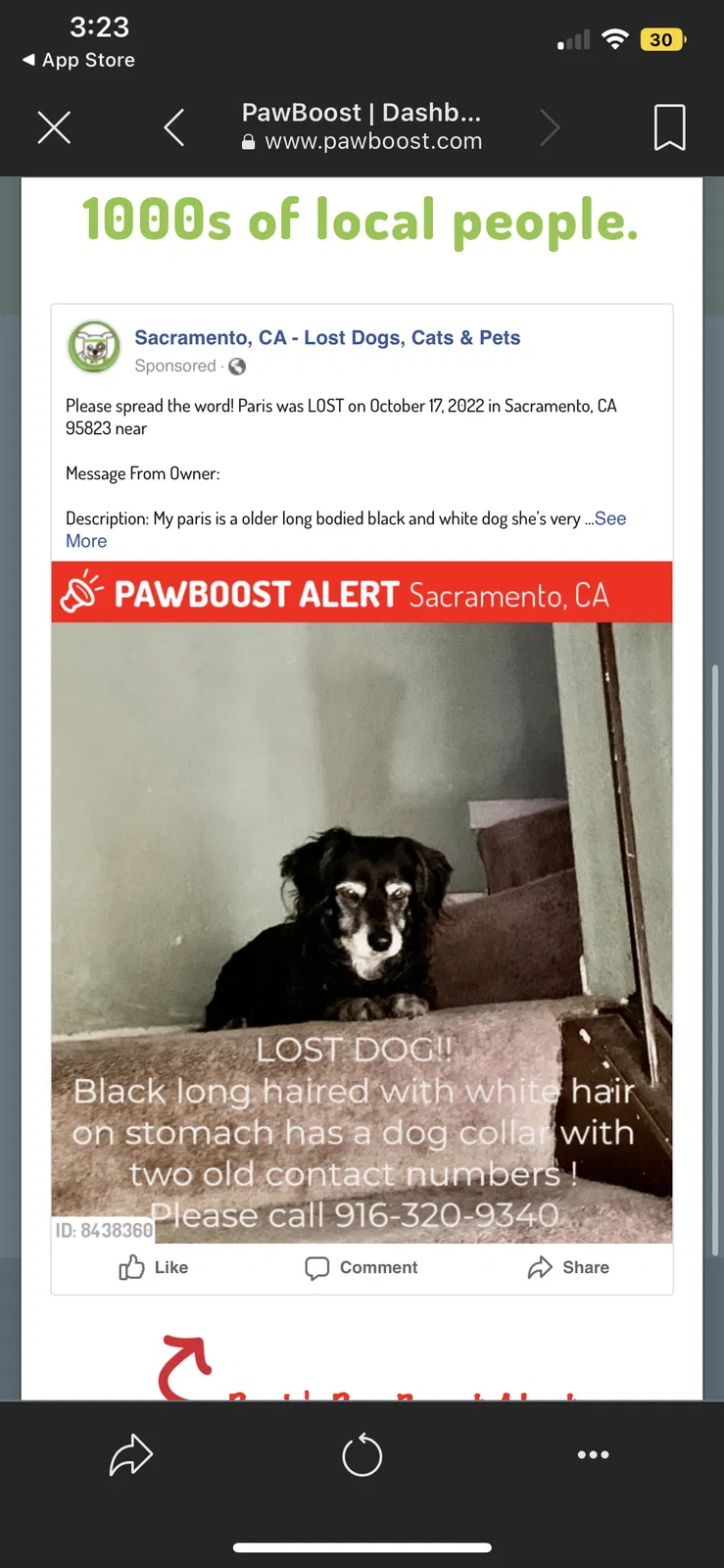 Lost dog in Sacramento, CA, 95823