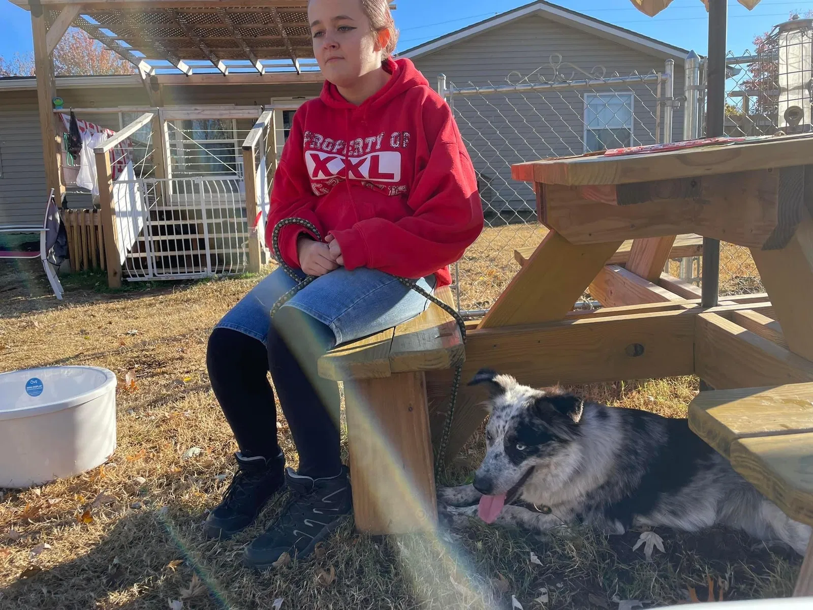 Found dog in Grove, OK, 74344