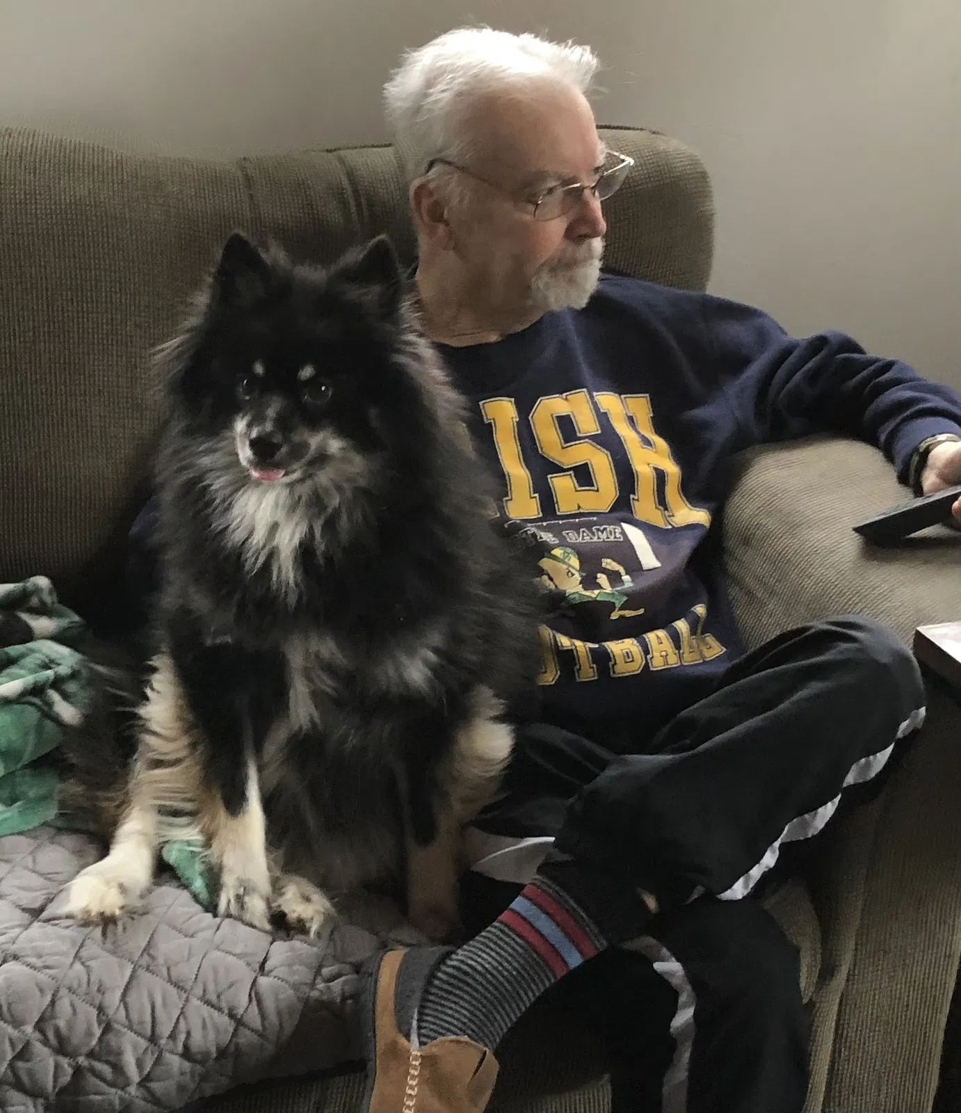 Lost dog in Marstons Mills, MA, 2648